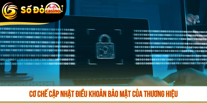 Cơ chế cập nhật điều khoản bảo mật của thương hiệu