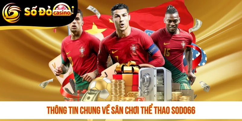 Thông tin chung về sân chơi thể thao SODO66