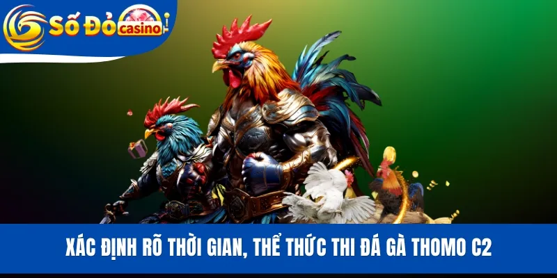 Xác định rõ thời gian, thể thức thi đá gà Thomo C2